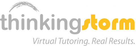 ThinkingStorm logo